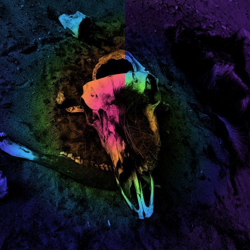 D.O.H. (Instrumental) cover art