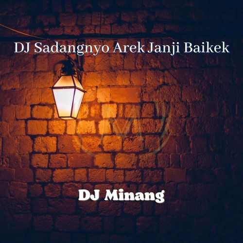 DJ Sadangnyo Arek Janji Baikek - Inst cover art