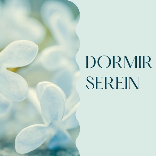 Transparence cover art