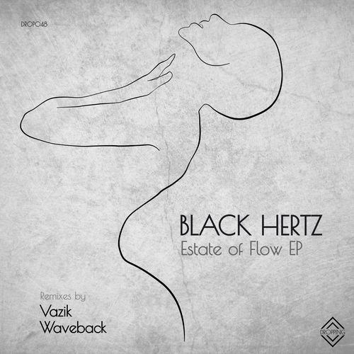 Estate of Flow (WAVEBACK Remix) cover art