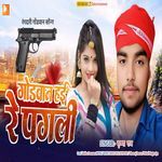 Gondwan hayi re pagli