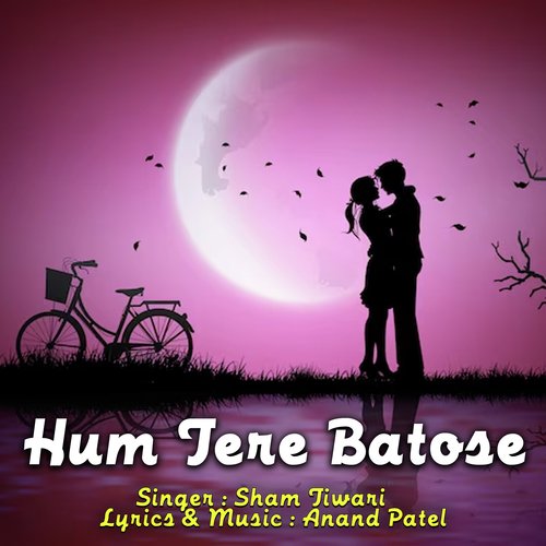 Hum Tere Batose