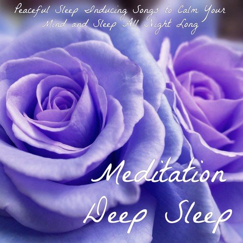 Meditation Deep Sleep - Peaceful Sleep Inducing Songs to Calm Your Mind and Sleep All Night Long