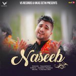 Naseeb