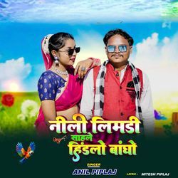 Nili Limdi Sahle Hindlo Bandho