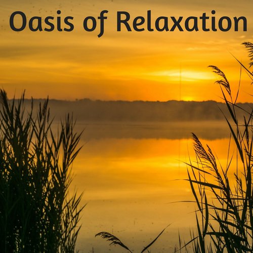 Oasis of Relaxation cover art