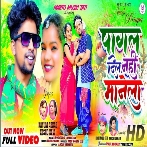 Pagal Dil Nhi Manela