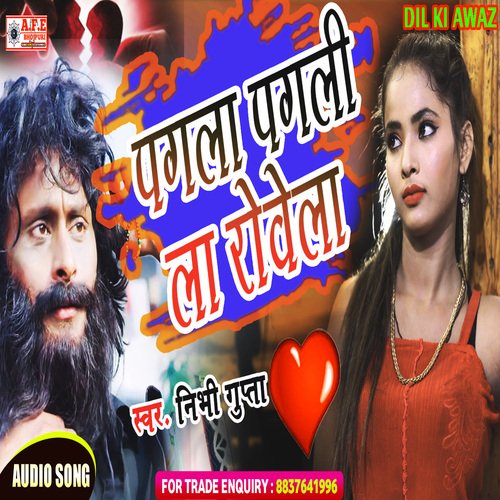 Pagla Pagli La Rovela (Bewafai Song)