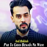 Par Ta Gran Bewafa Na Wam