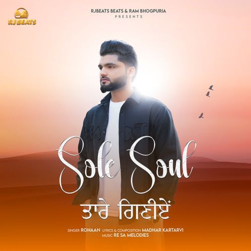 Sole Soul