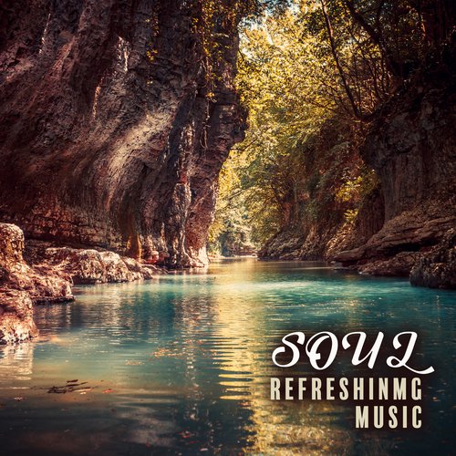 Soul Refreshinmg Music: Relaxing, Atmosphere-Cleansing, Stress-Reducing Melodies_poster_image