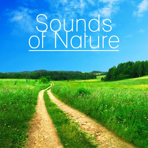 Sounds of Nature – Healing Ocean Sound, Sounds of Nature for Massage, Inner Power, Rain Sounds, Ocean Waves
