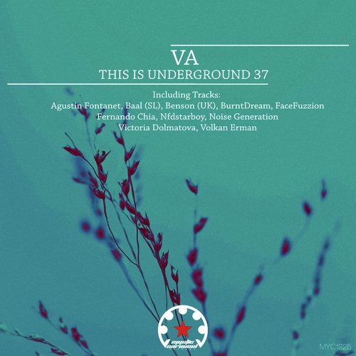 This Is Underground 37