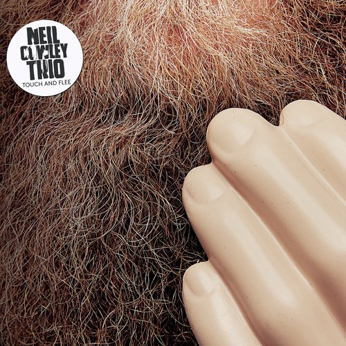 The Art cover art