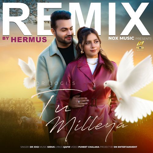 Tu Milleya - Remix