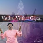 Vitthal Vitthal Gajari (feat. Vishal Mhatre &amp; Sunil Mhatre)