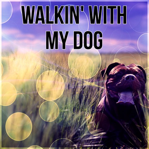 Dog Zone cover art