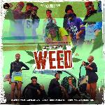 Weed
