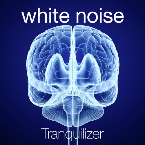 White Noise: Standing Fan