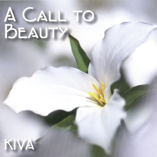 A Call to Beauty_poster_image