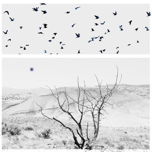 Quiet Attraction, Urgent Remembrances