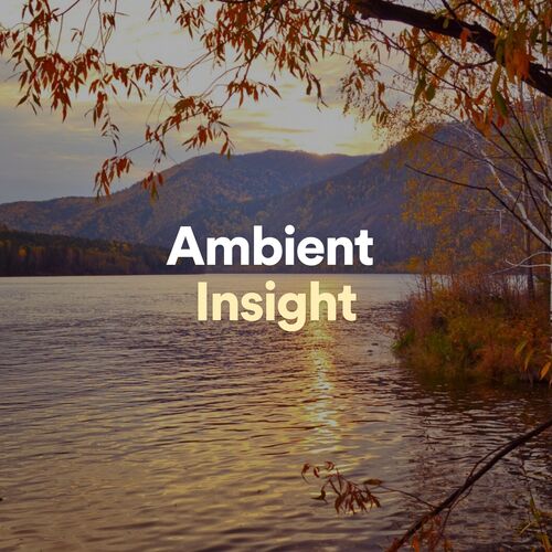 Ambient Insight, Pt. 19