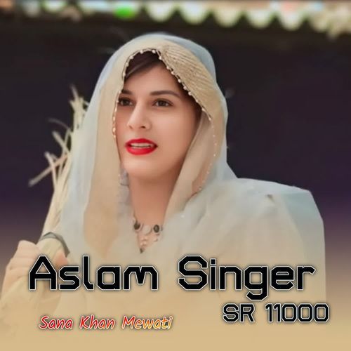 Aslam Singer SR 11000