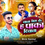 Baba Bhim Ke Haa Pakka Diwana