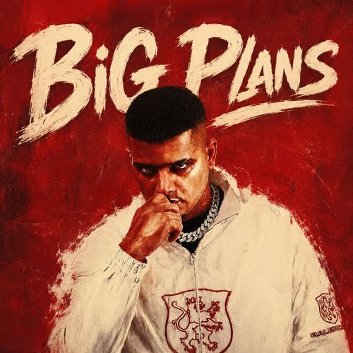 BiG Plans