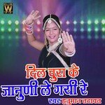 Dil Churake Janudi Le Gai Re