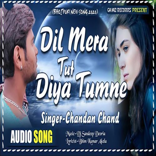 Dil Mera Tor Diya Tumne