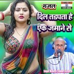 Dil Tadpta Hai Ek Jmane Se