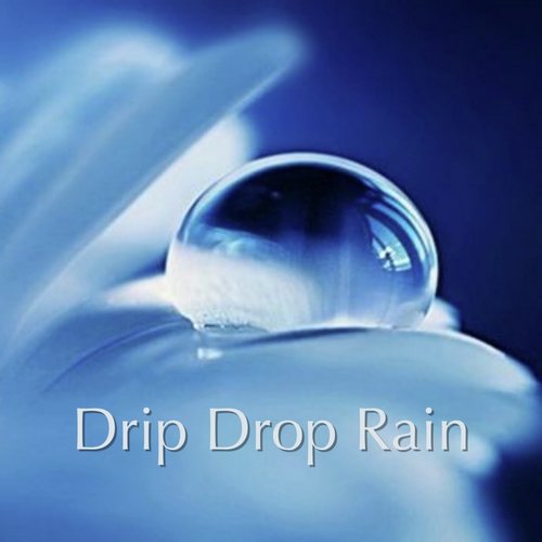 Drip Drop Rain