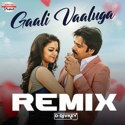 Gaali Vaaluga - Official Remix-FEUoBEYJDlk