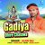 Gadiya Dhire Chalawa