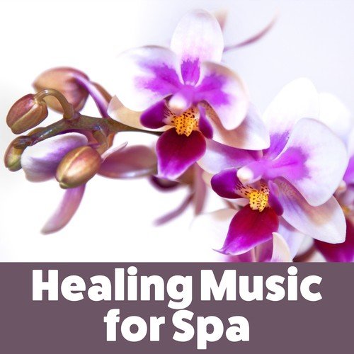 Healing Music for Spa – Nature Sounds, Deep Relief, Sea Waves, Spa Music, Pure Massage, Peaceful Mind