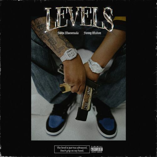 Levels cover art