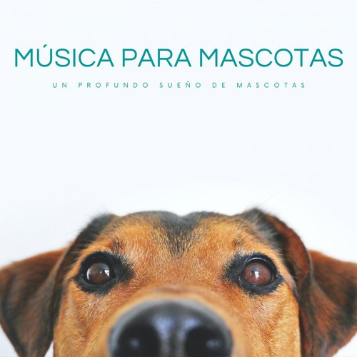 Música Tranquila De Mascotas cover art