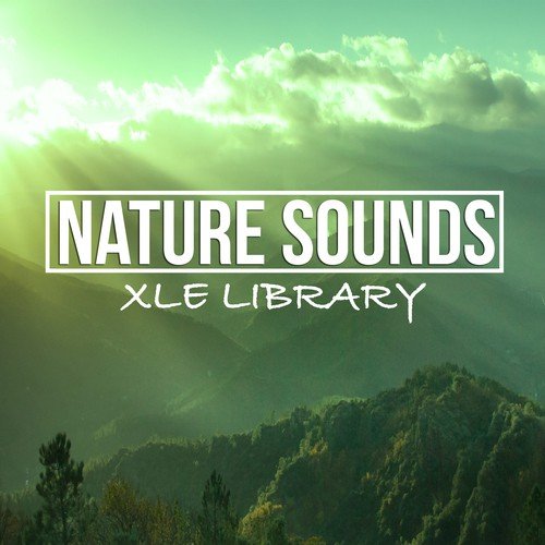Nature Sound Library