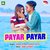 PAYAR PAYAR