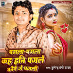 Pagla Pagla Kaha Hani Pagle Banaina Ge Pagali