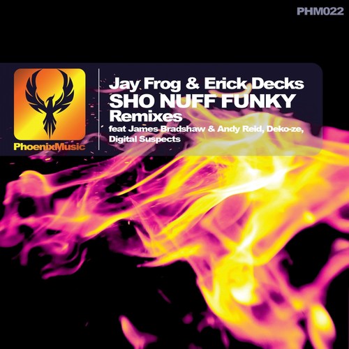 Sho Nuff Funky (Remixes)_poster_image