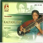 Sitar Instrumental