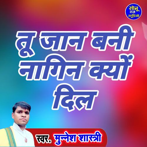 Tu Jan Bani Nagin Kyo Dil