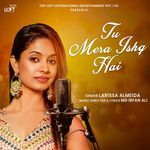 Tu Mera Ishq Hai artwork
