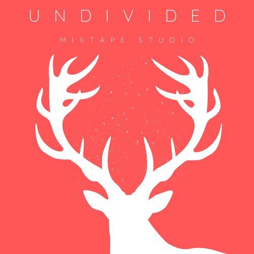 Undivided (Ritik Mehra Remix)