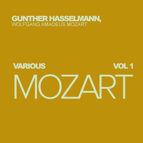 Various Mozart, Vol. 1