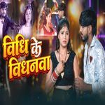 Vidhi Ke Vidhanwa