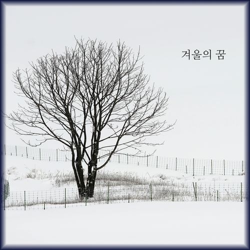 Winter Dream
