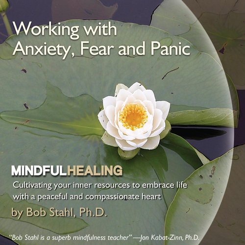 Working With Anxiety, Fear, and Panic